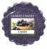 YANKEE CANDLE CASSIS VONN VOSK DO AROMALAMPY