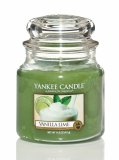 SVKA YANKEE CANDLE VANILLA LIME CLASSIC STEDN