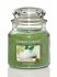 SVKA YANKEE CANDLE VANILLA LIME CLASSIC STEDN