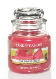 LUXUSN SVKA YANKEE CANDLE PINK DRAGONFRUIT CLASSIC MAL