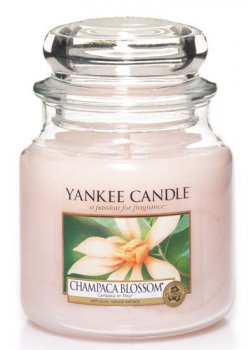 LUXUSN SVKA YANKEE CANDLE CHAMPACA BLOSSOM CLASSIC STEDN